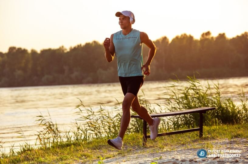 A Comparative Analysis of Whey Protein Concentrate, Sweet Whey Powder, and Milk Protein Concentrate